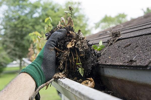 homeowners can use a garden hose, a gutter scoop, and a sturdy ladder for diy gutter cleaning